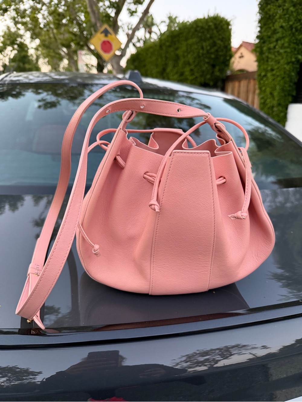 Mansur Gavriel Lilium Bucket Bag